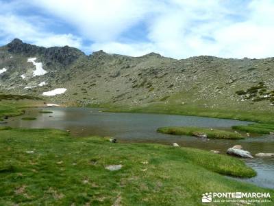 Lagunas de Pelañara-Peña Cítores- Guadarrama; viajes agosto; jerte en flor noviembre